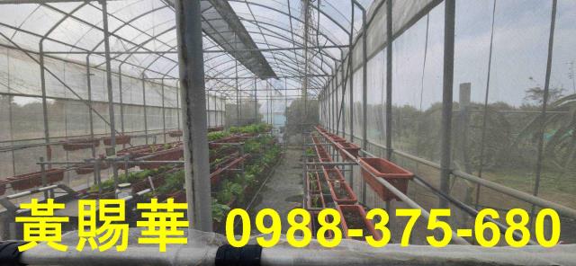 桃園新屋資材室-8