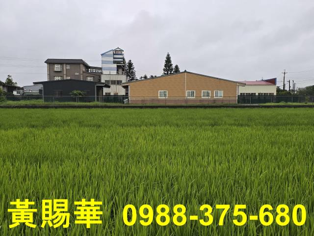 桃園農舍-1