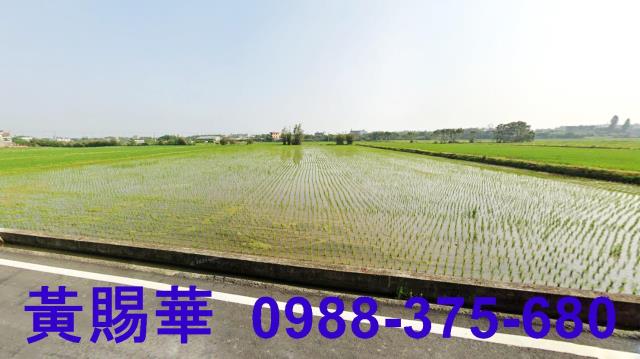 新屋農地-5