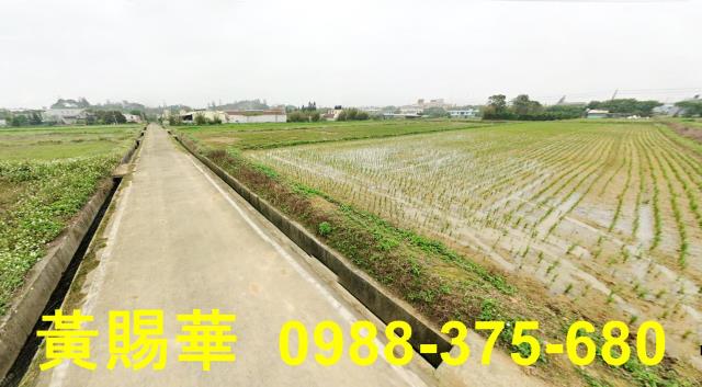 新屋農地-0
