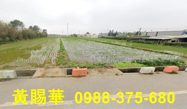 新屋農地-3