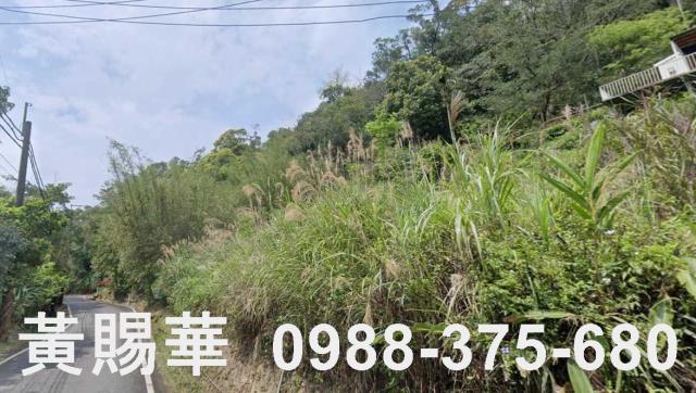 新竹關西農地-5