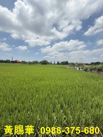 大溪農地-6