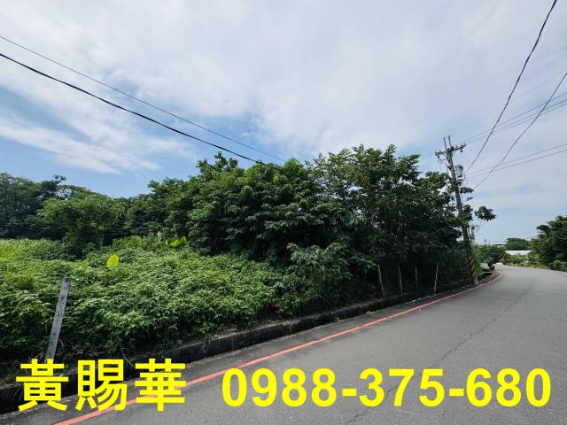 桃園農地-5
