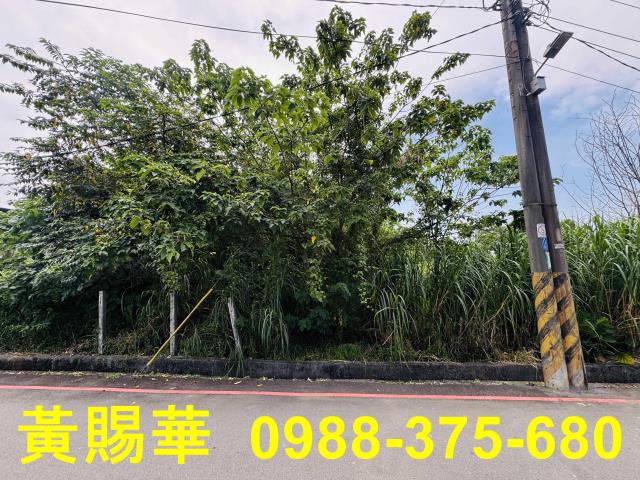 桃園農地-6