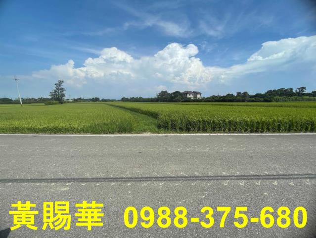 桃園農地-4