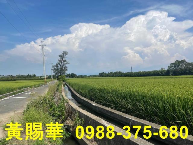 桃園農地-7