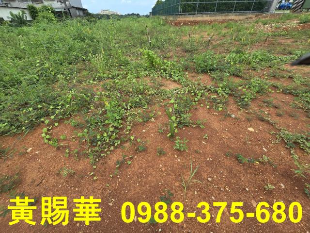 桃園農地-4