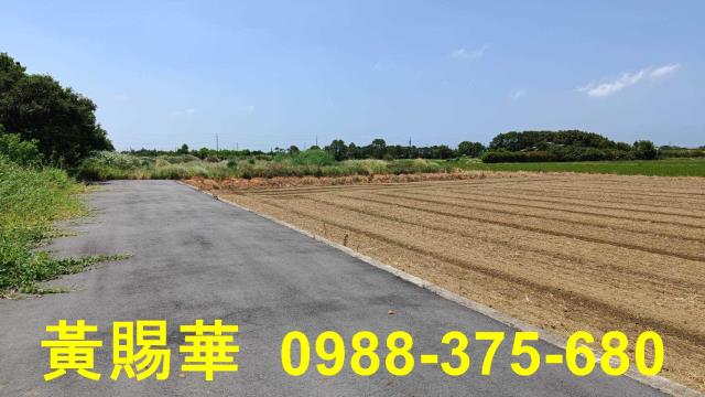 桃園新屋農地-1