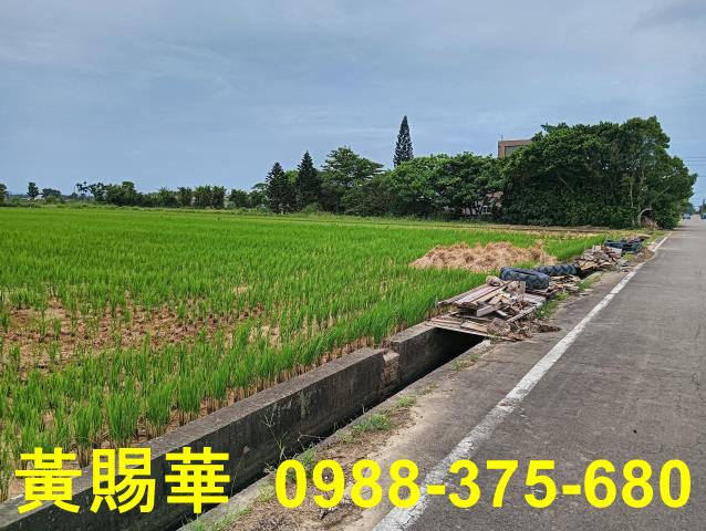 桃園新屋農地-1