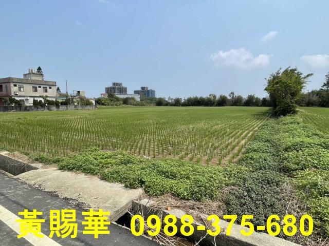 觀音農地-3