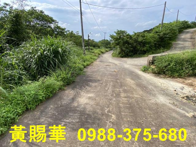 桃園農地-1