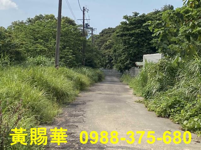 桃園農地-2