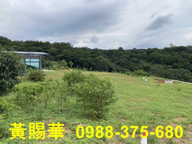 桃園農地-3