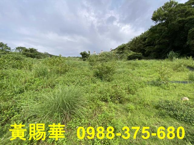 桃園農地-5