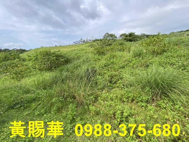 桃園農地-6