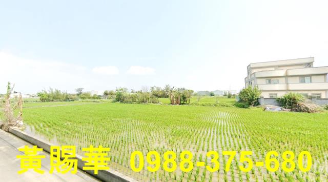桃園農地-5
