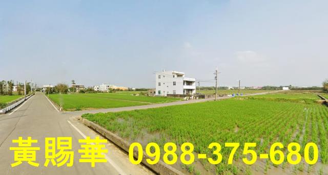 桃園新屋農地-0