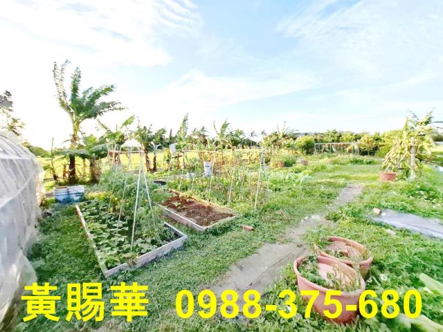 桃園新屋農地-4