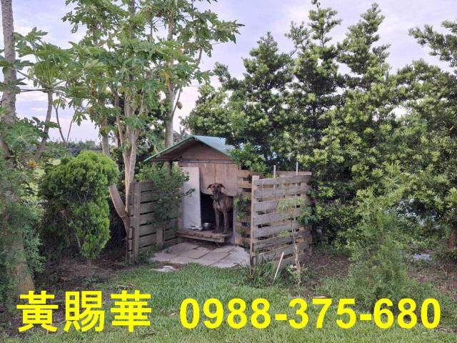 桃園新屋農地-5